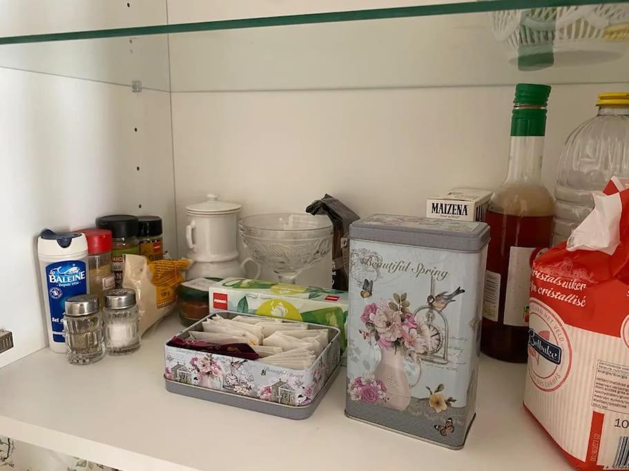 Ravissant Shabby Chic Au Centre De Metz Διαμέρισμα Εξωτερικό φωτογραφία