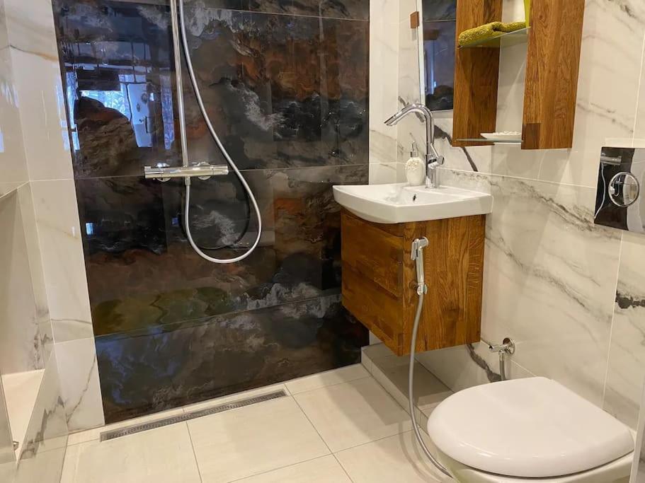 Ravissant Shabby Chic Au Centre De Metz Διαμέρισμα Εξωτερικό φωτογραφία