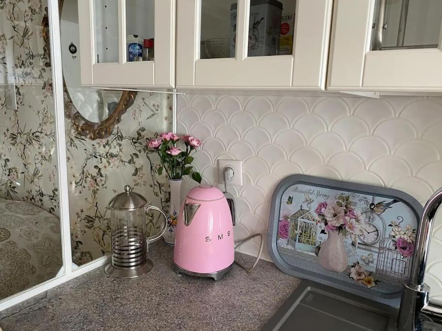 Ravissant Shabby Chic Au Centre De Metz Διαμέρισμα Εξωτερικό φωτογραφία